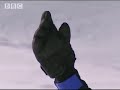 Ray Mears Extreme Survival: Mountain Climbing Ray Mears Extreme Survival: Mountain Climbing