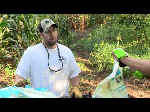 how to fertilize food plots