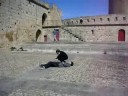 Duelli ad Avignone