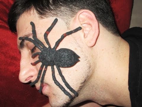 pranked - My boyfriend is always bothering me with bugs and such. This time it was his turn to get a little taste of his own medicine Follow us on Twitter: http://twit...