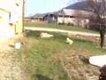 Pierwszy spacerek :D