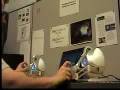 Broadband Analysis of Collaborative Haptics