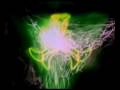 JCRZ - Attraction Zero (Psychedelic Video Mix)
