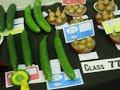 Dunvant Horticultural Society\