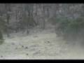 MEXICO GOULDS TURKEY HUNT 2008. PUYI MO.