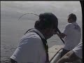 100lb yellowfin tuna wahoo dorado sailfish 100lb yellowfin tuna wahoo dorado sailfish