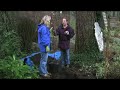 How to plant a tree How to plant a tree