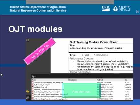 how to provide on the job training