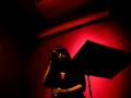 videos de Lydia Lunch [02/11/08]