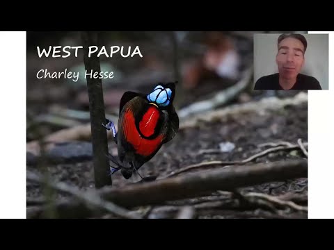 <p>A Virtual Birding Tour</p>
 video thumbnail