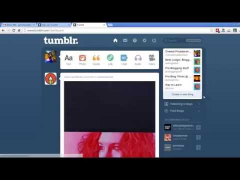 how to discover tumblr blogs