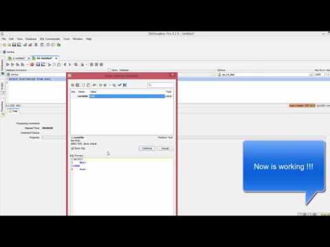 How to use parameters in Dbvisualizer and Vertica
