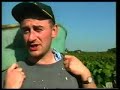 Vendanges Château Haut Sarpe Vendanges Château Haut Sarpe