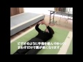 合わない枕