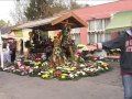 Közérdekű információk Mindenszentek hétvégéjére Közérdekű információk Mindenszentek hétvégéjére