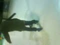 MOV01008 MOV01008