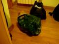 ardorin y bolsa