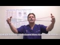 YouTube - What Is Applied Kinesiology? Muscle Testing ...