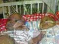 The Journey of Victor and CJ Preemie Twins