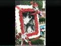 videos de Graceland 3 -