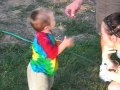 Owen VR picking tomatoes