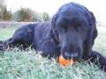 videos de Radley in Park