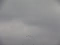 Military Flyover