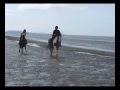videos de Kissie and bambi's beach ride.wmv