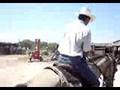 en el caballo