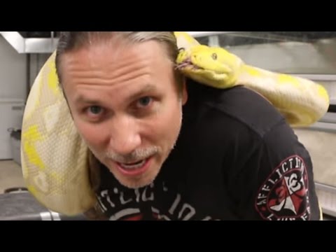YouTube reptile video