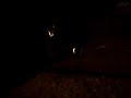 Revving with silencer
