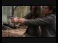 Flight Of Fury - Catfight
