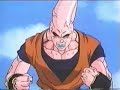 Vegito Downsized part 1 256
