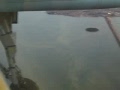 Venice from the plane