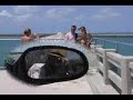 Bahia Honda Bongo Bahia Honda Bongo