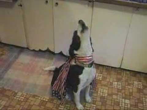 Sasha CHEER for Team USA!!!