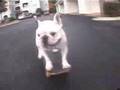 Mr. Kerry Skateboard Session