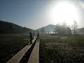 ???????????Walking in Japanese Nature?