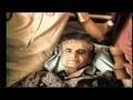 Shah-of-Iran-Part-2