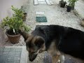 installer une parabole