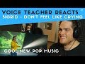 Voice Teacher Reacts To Sigrid - Don't Feel Li