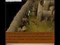 Runescape-Three Ranged Training Spots