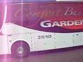 EXPRESSO GARDENIA 2910