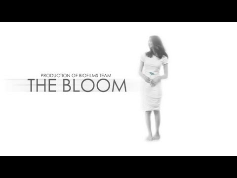 فلم كويتي قصير The Bloom (2011) Kuwaiti Short Movie