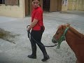 quenel