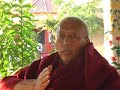 TIbet Goes Organic - Venerable Professor Samdhong Rinpoche TIbet Goes Organic - Venerable Professor Samdhong Rinpoche