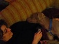 Weimaraner Puppy leaves you howling like NO ONE! Weimaraner Puppy leaves you howling like NO ONE!