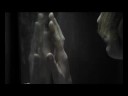 KGB \"Pet boy\" video trailer