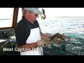 Shiny Maine Lobster