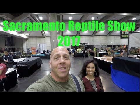 YouTube reptile video
